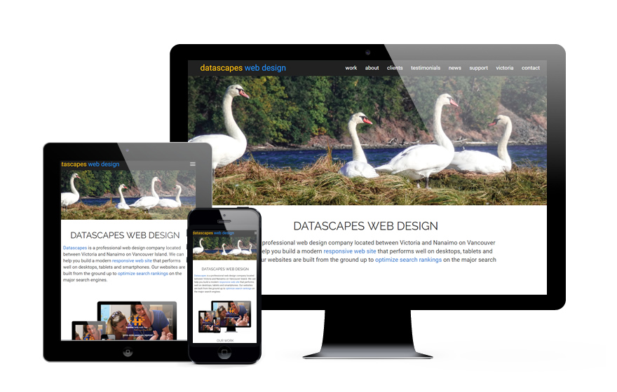Datascapes Web Design - Victoria and Nanaimo on Vancouver Island